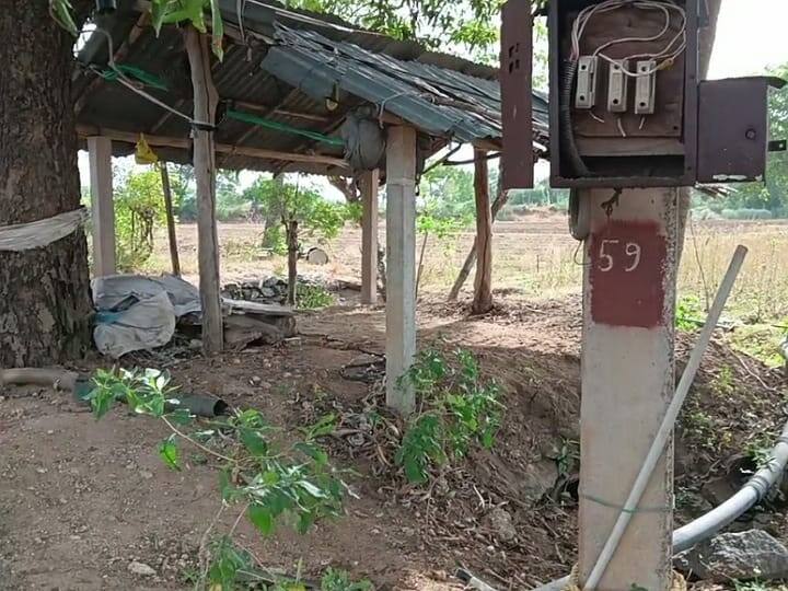 Karur news Farming using the limited amount of water available in the well with electric motors TNN விவசாய மின் மோட்டார் இணைப்பு ஒயர்களை திருடி செல்லும்  நபர்கள்  - கிருஷ்ணராயபுரம் அருகே அதிர்ச்சி