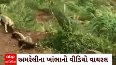 ABP News ABP News