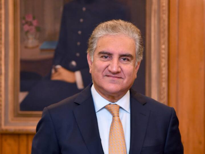 Imran Khan will remain our chairman says PTI Vice Chairman Shah Mahmood Qureshi on reports of rift among PTI leaders Imran Khan In Jail: 'इमरान खान हमारे चेयरमैन थे, हैं और रहेंगे', PTI नेताओं में अनबन की खबरों पर बोलें शाह महमूद कुरैशी