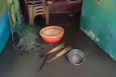 भंडारा जिल्ह्यात जोरदार पाऊस, लाखांदूर तालुक्यातील सरांडी गावाला तलावाचं स्वरुप, अनेक घरात शिरलं पाणी