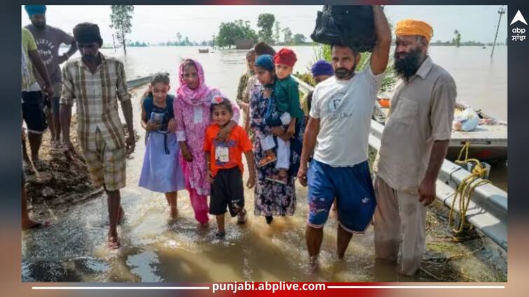 Punjab Flood: 15 villages of 9 districts lost connectivity due to flood in Punjab, army check post also submerged Punjab Flood: ਪੰਜਾਬ 'ਚ ਹੜ੍ਹ ਕਾਰਨ 9 ਜ਼ਿਲ੍ਹਿਆਂ ਦੇ 15 ਪਿੰਡਾਂ ਦਾ ਟੁੱਟਿਆ ਸੰਪਰਕ, ਸੈਨਾ ਦੀ ਵੀ ਡੁੱਬੀ ਚੈੱਕ ਪੋਸਟ