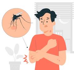 Mosquito Bite: ਭੋਜਨ 'ਚ ਕਰੋ ਇਹ ਬਦਲਾਅ...ਮੱਛਰ ਦੇ ਕੱਟਣ ਦਾ ਨਹੀਂ ਹੋਵੇਗਾ ਕੋਈ ਅਸਰ, ਡੇਂਗੂ ਤੋਂ ਰਹੇਗਾ ਬਚਾਅ