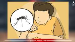 Mosquito Bite: ਭੋਜਨ 'ਚ ਕਰੋ ਇਹ ਬਦਲਾਅ...ਮੱਛਰ ਦੇ ਕੱਟਣ ਦਾ ਨਹੀਂ ਹੋਵੇਗਾ ਕੋਈ ਅਸਰ, ਡੇਂਗੂ ਤੋਂ ਰਹੇਗਾ ਬਚਾਅ