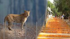 Why not Fencing in Tirumala Pedestrian Path : అలిపిరి, శ్రీవారి మెట్టు మార్గంలో కంచెలు వేయలేమా.? |