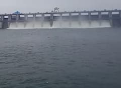 Wardha News : वर्ध्यात पावसाची पुन्हा दमदार हजेरी,  निम्न वर्धा धरणाचे सात दरवाजे उघडले