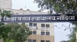 Gondia News : गोंदियात चॉकलेटचे आमिष दाखवून चिमुकलीवर लैंगिक अत्याचार; नराधमाला 30 वर्षांच्या सश्रम कारावासासह 10 हजारांचा दंड