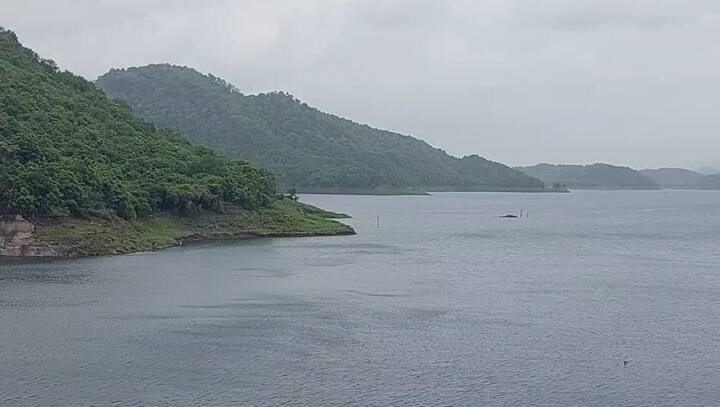 રાજ્યમાં હજુ પણ વરસાદી માહોલ જોવા મળી રહ્યો છે.જેના કારણે ડેમમાં પાણીની આવકમાં હજુ પણ વધારો થઈ શકે છે.