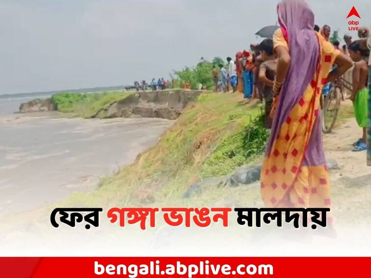 Malda Local News: Again land erosion due to Ganges  in Manikchak Malda News: ফের গঙ্গা ভাঙ্গনের গ্রাসে মানিকচক, ফসল নিয়ে পালাচ্ছেন স্থানীয়রা