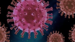 Health News:নজরে কোভিড-১৯-এর নয়া ভ্যারিয়্যান্ট, কী উপসর্গ এতে?