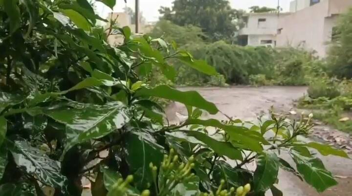 ज्यात, किनवट तालुक्यामध्ये अतिवृष्ट झाली असून, परिसरात अनेक नदी-नाल्यांना पूर आला.