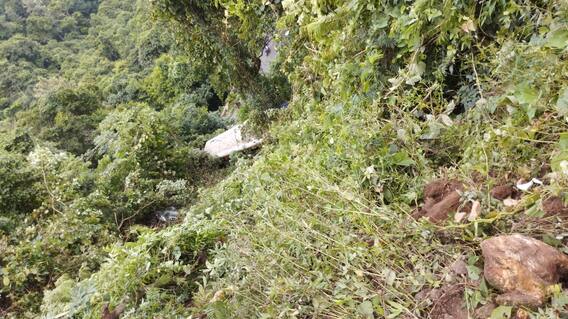 BUS Accident at Paderu Ghat Road | పాడేరు ఘాట్ రోడ్డులో ప్రమాదం..లోయలో పడిపోయిన ఆర్టీసీ బస్సు | ABP