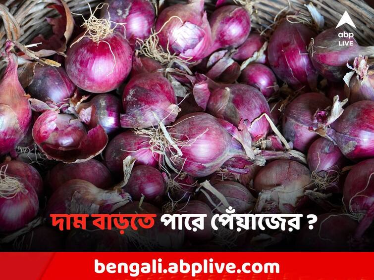 Central Govt Imposes Export Duty on Onion to reduce price Onion Price: ফের বাড়তে পারে পেঁয়াজের দামও? ৪০ শতাংশ শুল্ক বসানোর সিদ্ধান্ত সরকারের