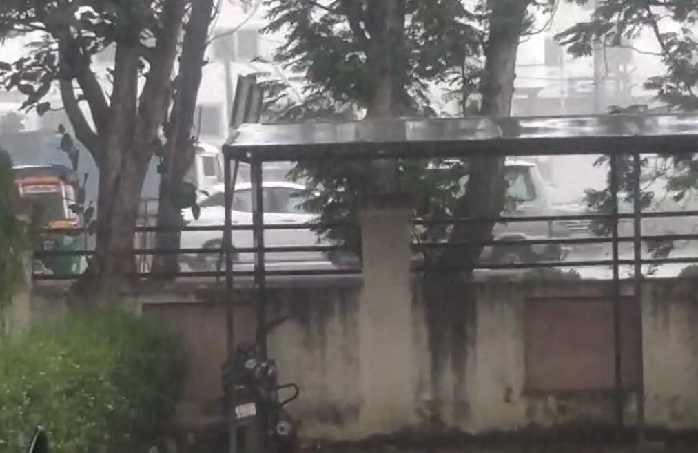 Gujarat Rain: ડભોઈ, વાઘોડિયામાં વરસાદ, ખેતીપાકને મળશે જીવતદાન Rains in Dabhoi, Vaghodia, agriculture will get a boost Gujarat Rain: ડભોઈ, વાઘોડિયામાં વરસાદ, ખેતીપાકને મળશે જીવતદાન