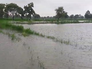 Bhandara Rain :  सलग तिसऱ्या दिवशीही भंडाऱ्यात जोरदार पाऊस, शेत शिवारात शिरलं पाणी; गोसेखुर्द धरणातून पाण्याचा विसर्ग 