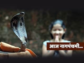 Nagpanchami 2023 : आज नागपंचमी! जाणून घ्या शुभ मुहूर्त, तिथी आणि या दिनाचं महत्त्व