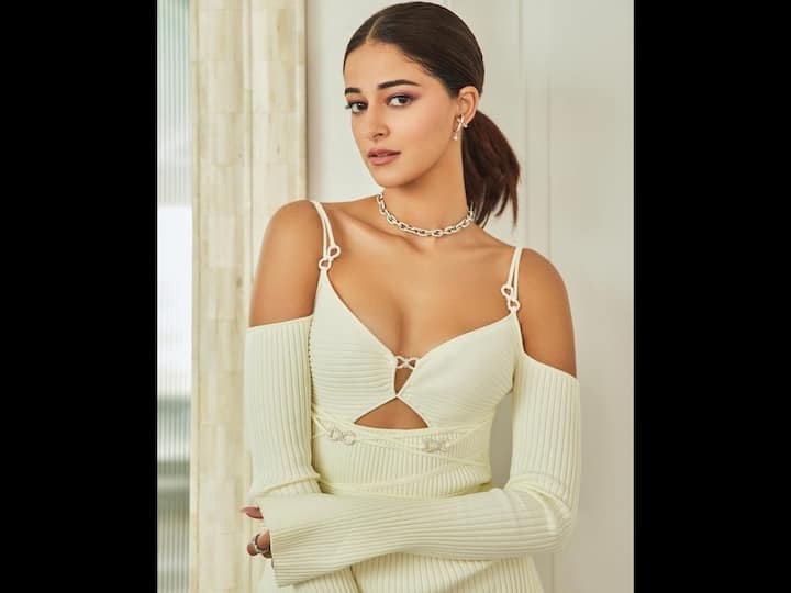 'Dream Girl 2' Actor Ananya Panday Talks About Criticism And Online Trolling Ayushmann Khurrana 'Dream Girl 2' Actor Ananya Panday Talks About Criticism And Online Trolling, Says 'People Often Forget......'