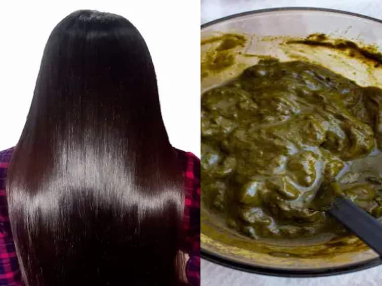 Hibiscus hair mask for shiny hair know how to do full details Hibiscus Hair Mask: முடி கொட்டும் பிரச்சினைக்கு தீர்வு வேண்டுமா..? செம்பருத்தி மாஸ்க்கை அப்ளை பண்ணுங்க..!