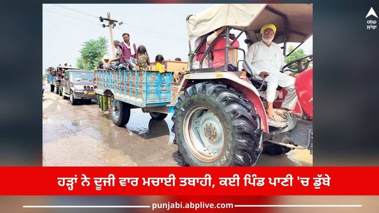 Floods have caused havoc for the 2nd time, thousands of acres of crops destroyed, many villages submerged in water Flood in Firozpur: ਹੜ੍ਹਾਂ ਨੇ ਦੂਜੀ ਵਾਰ ਮਚਾਈ ਤਬਾਹੀ, ਹਜ਼ਾਰਾਂ ਏਕੜ ਫਸਲਾਂ ਤਬਾਹ, ਕਈ ਪਿੰਡ ਪਾਣੀ 'ਚ ਡੁੱਬੇ