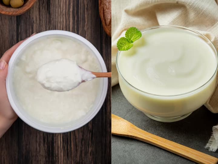 What is the difference between yogurt and curd know जानिए योगर्ट और दही में क्या अंतर है? दोनों एक दूसरे से कितने अलग?