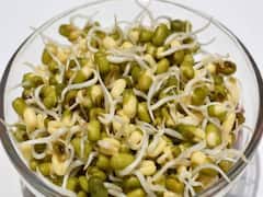 क्या आप भी हेल्दी समझ कर रोज़ खाते हैं स्प्राउट्स तो अलर्ट हो जाएं क्योंकि रिसर्च बता रही है इससे होने वाले नुकसान