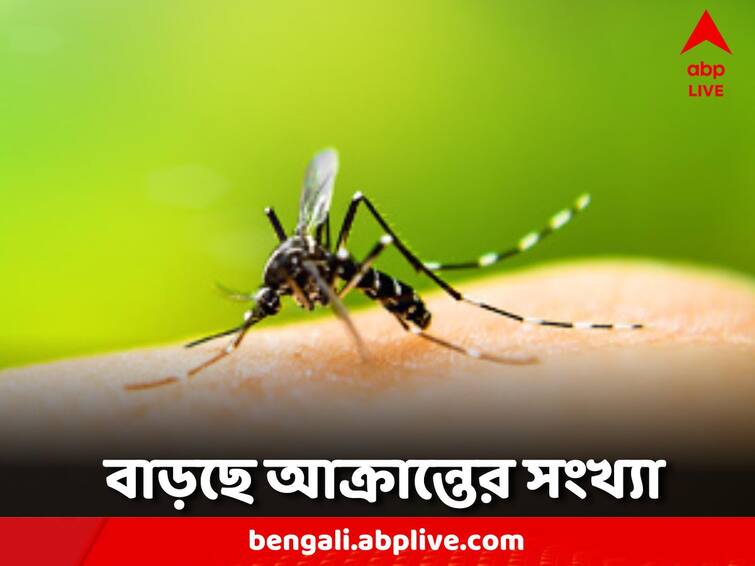 number of dengue cases in the state has reached 10 thousand WB Dengue: বাড়ছে উদ্বেগ, রাজ্যে ডেঙ্গি আক্রান্তের সংখ্যা ১০ হাজার ছুঁইছুঁই