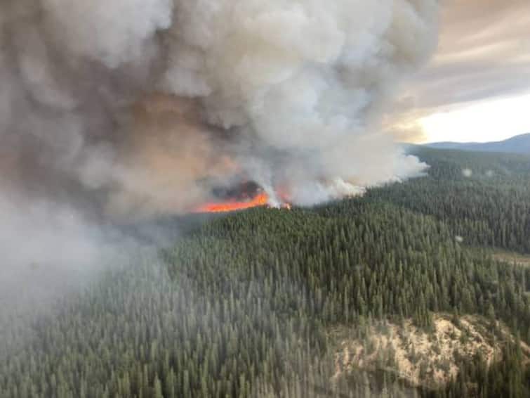 Justin Trudeau Announces Deployment Of Canadian Forces In British Columbia To Battle Ravaging Wildfires Justin Trudeau Announces Deployment Of Canadian Forces In British Columbia To Battle Ravaging Wildfires