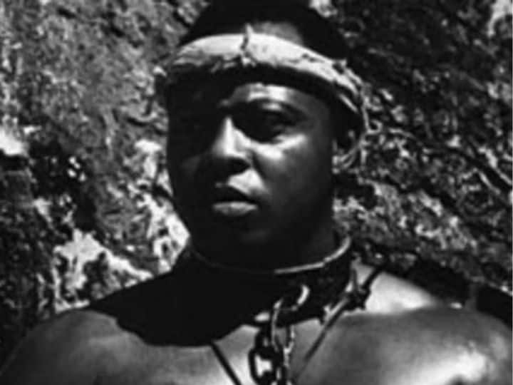 pata seca a slave who gave birth to more than 200 children for his master पाटा सेका... एक ऐसा ग़ुलाम जिसने अपने मालिक के लिए पैदा किए 200 से ज्यादा बच्चे