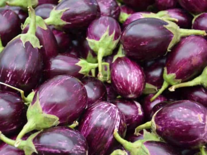 brinjal uses side effects benefits and more इन लोगों को भूल से भी न खाने चाहिए बैंगन, घर में
