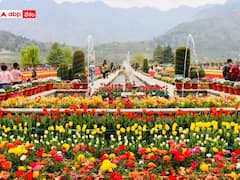 శ్రీనగర్‌ తులిప్‌ గార్డెన్‌ అరుదైన ఘనత, వరల్డ్‌ బుక్‌ ఆఫ్‌ రికార్డ్స్‌లో చోటు