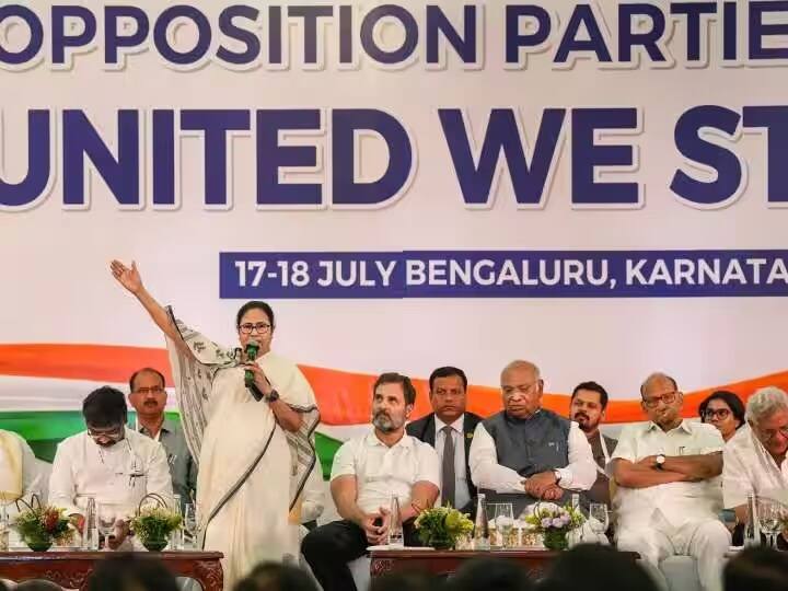 सर्वेक्षणानुसार, विरोधकांच्या इंडियाला राजस्थानमध्ये 2 ते 3 जागा, मध्य प्रदेशात 3 ते 5 जागा, महाराष्ट्रात 15 ते 19 जागा, बिहारमध्ये 16 ते 18 जागा, पश्चिम बंगालमध्ये NDAला 23 ते 27 जागा आणि झारखंडमध्ये 2 ते 4 जागा जिंकण्याची अपेक्षा आहे.