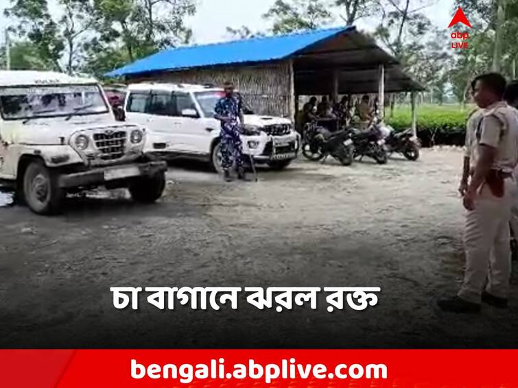 North Dinajpur, Fierce clash in Chopra over tea plantation encroachment, 13 Injured North Dinajpur: চা বাগান দখল কেন্দ্র করে সংঘর্ষ! ছররা গুলিতে জখম ১৩