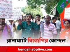 দলেরই জেলা সভাপতির অপসারণের দাবি, রাস্তায় নামলেন BJP কর্মীদের একাংশ