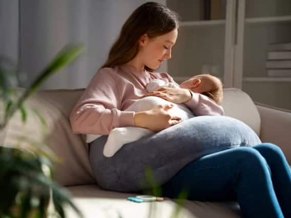 Is Non Veg Safe During Pregnancy: प्रेग्नेंसी में नॉनवेज खाना सही है या नहीं? जानिए क्या कहती है रिसर्च Is Non Veg Safe During Pregnancy: प्रेग्नेंसी में नॉनवेज खाना सही है या नहीं? जानिए क्या कहती है रिसर्च