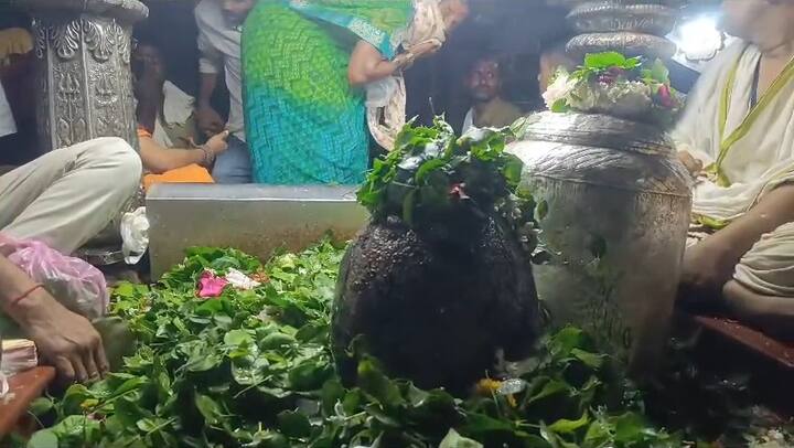 श्रावणी सोमवारी नागनाथाचे दर्शन घेणे पवित्र मानले जाते.