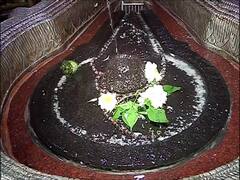 Shravan 2023 : पहिल्या श्रावणी सोमवारनिमित्त पुण्याच्या भीमाशंकर मंदिरात भक्तांची मांदियाळी, मंदिराला आकर्षक फुलांची सजावट