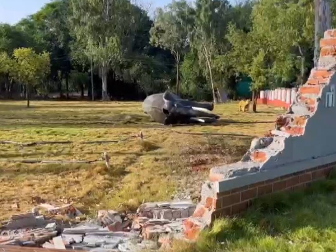 Bahubali Elephant : பொம்மை யானையுடன் சண்டையிட்ட ’பாகுபலி’ யானை ; அச்சமடைந்த வனக்கல்லூரி மாணவர்கள்..