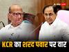 KCR On Sharad Pawar: तेलंगाना के सीएम KCR का शरद पवार पर तीखा हमला, '...इसीलिए मैं इन लोगों को पागल कहता हूं'