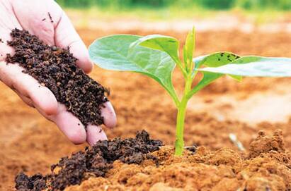 Carbon Farming: આજકાલ ખેતીમાં કાર્બન ફાર્મિંગનો ઉપયોગ વધ્યો છે. કાર્બન ફાર્મિંગ દ્વારા ખેડૂતો હવામાન પરિવર્તન સામે લડી શકે છે.