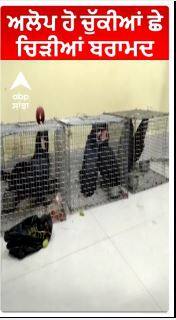 ਅਲੋਪ ਹੋ ਚੁੱਕੀਆਂ ਛੇ ਚਿੜੀਆਂ ਬਰਾਮਦ | Six endangered birds seized in Cachar