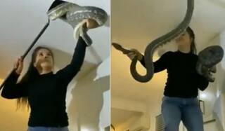 Viral Video: ਘਰ ਦੀ ਛੱਤ 'ਤੇ ਸੱਪਾਂ ਨੇ ਲਾਏ ਡੇਰੇ, ਬਚਾਅ ਦੌਰਾਨ ਔਰਤ 'ਤੇ ਕੀਤਾ ਹਮਲਾ