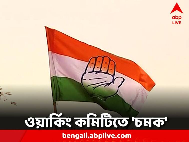 Congress has organized the working committee Congress New Working Committee: নজরে লোকসভা ও পাঁচ রাজ্যের বিধানসভা নির্বাচন, ওয়ার্কিং কমিটিকে ঢেলে সাজাল কংগ্রেস