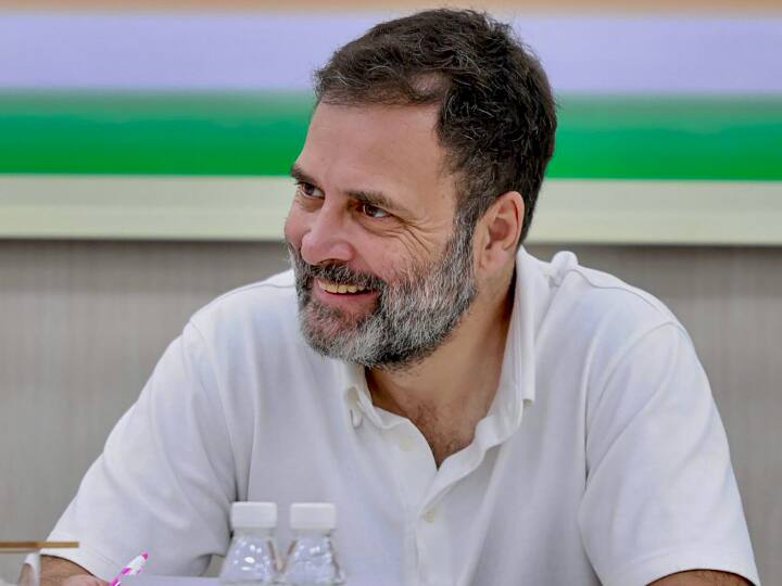 Congress Leader and Wayanad Mp Rahul Gandhi mp membership reinstatement challenged in supreme court Know Details Rahul Gandhi: राहुल गांधींना लोकसभा सदस्यत्व बहाल करण्याच्या निर्णयाला सर्वोच्च न्यायालयात आव्हान; याचिका दाखल, पुढील आठवड्यात सुनावणीची शक्यता