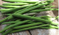 Drumstick Benefits : शेवग्याची शेंग खाता का? जाणून घ्या फायदे