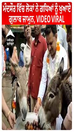 Mandsaur ਵਿੱਚ ਲੋਕਾਂ ਨੇ Donkey ਨੂੰ ਖੁਆਏ ਗੁਲਾਬ ਜਾਮੁਨ, VIDEO VIRAL