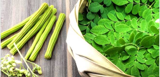 शेवग्याच्या शेंगाना मोरिंगा (Moringa) किंवा ड्रमस्टीक (drumstick) असेही म्हटले जाते. शेवग्याच्या शेंगाचे आहारात सेवन केले तर शरीराला मोठा फायदा मिळतो. काय आहेत याचे फायदे जाणून घेऊयात.