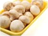 Mushrooms Festival: పుట్టగొడుగుల పండుగ, ఈ వేడుకలో నోరూరించే మష్రూమ్ వంటకాలను రుచి చూడొచ్చు