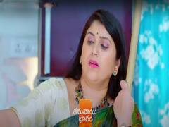 'త్రినయని' సీరియల్: బలవంతంగా కొత్తిమీర వాసన పిలుచుకొని రక్తం కంటచూసిన సుమన.. క్రూరమైన ప్లాన్ చేసిన తిలోత్తమా?