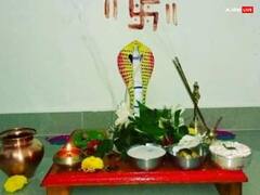 Nag Panchami 2023: આજે છે નાગ પંચમી, જાણો આ દિવસે શું કરવું અને શું ન કરવું