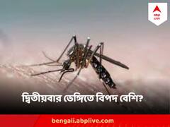 Dengue : ডেঙ্গি একবার হলে কি দ্বিতীয়বার হয় না? হলে আরও ভয়ঙ্কর?কী বলছেন চিকিৎসকরা?