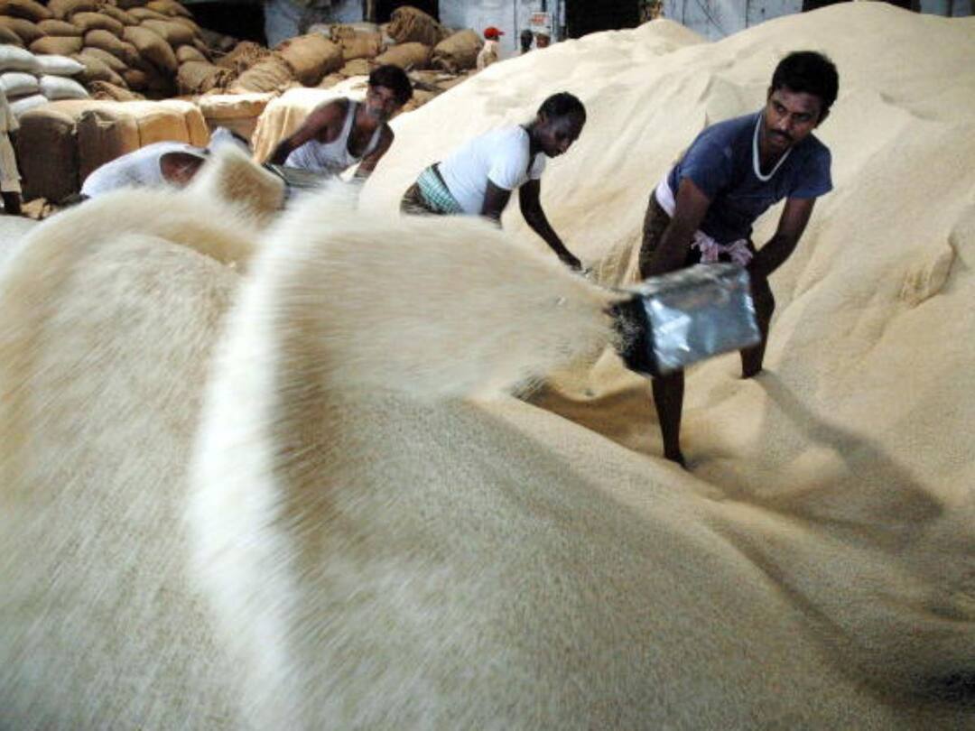 Govt Considering Export Duty On Parboiled Rice To Cool Domestic Prices: Report Rice Export Ban Govt Considering Export Duty On Parboiled Rice To Cool Domestic Prices Report Govt Considering Export Duty On Parboiled Rice To Cool Domestic Prices: Report